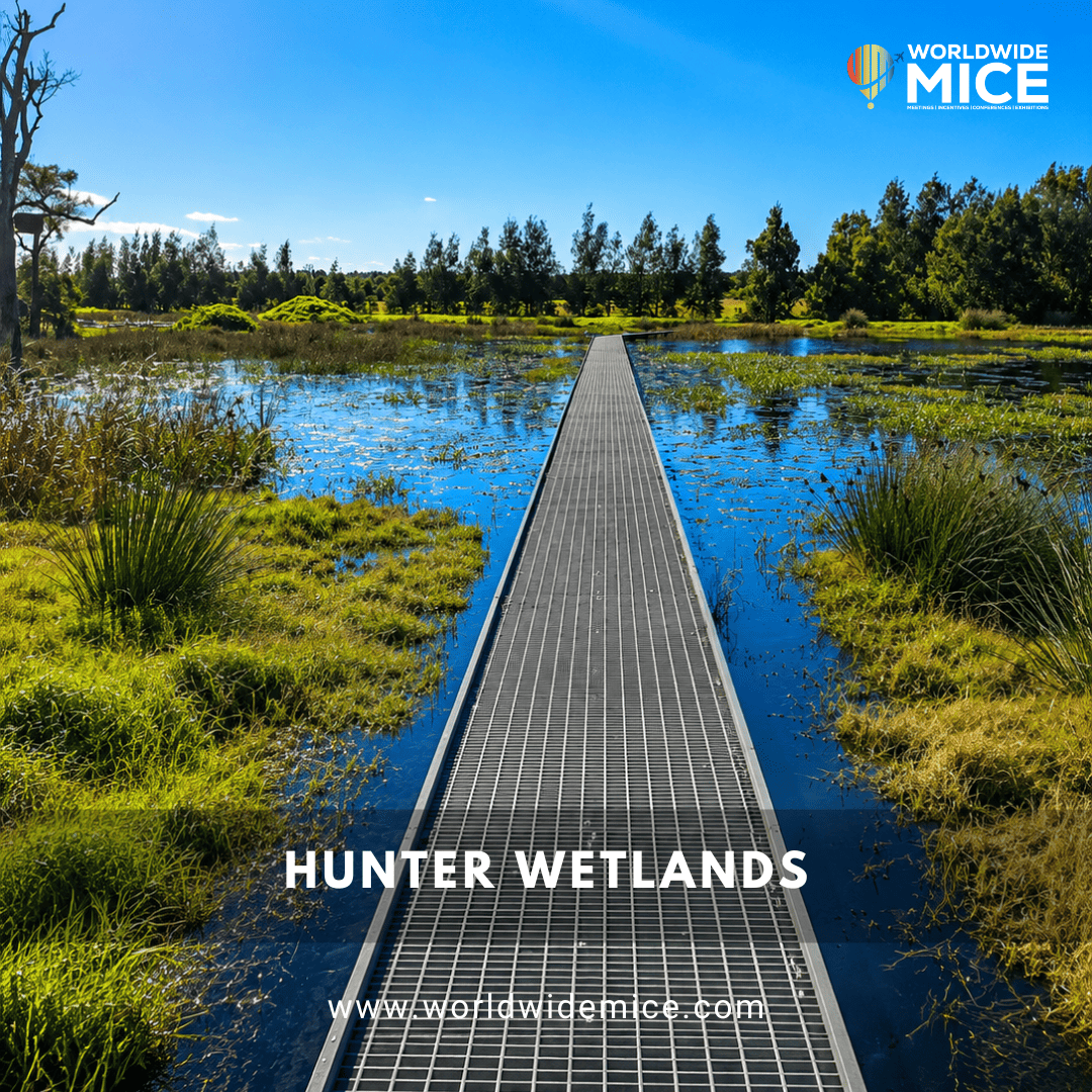 Hunter Wetlands